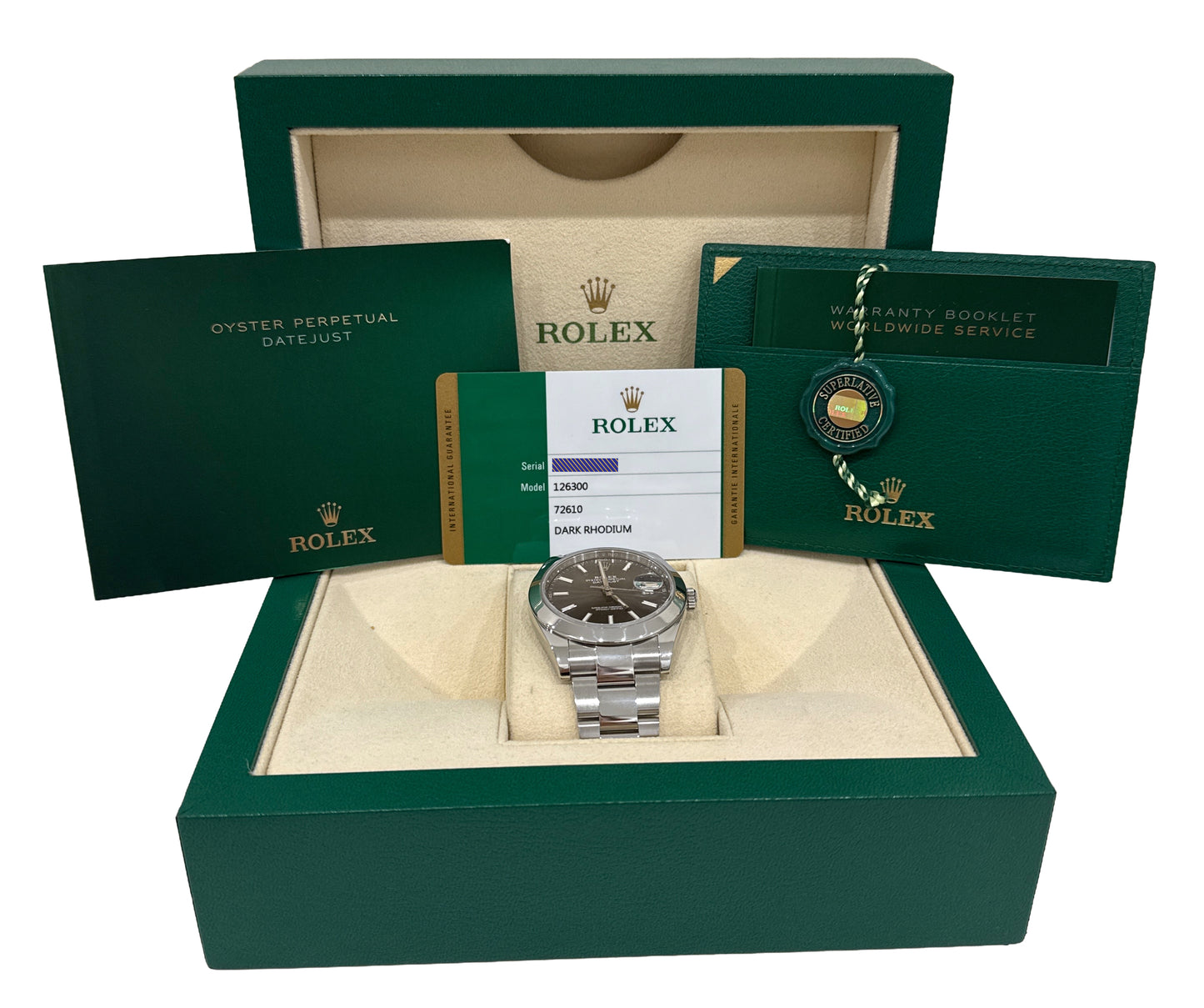 PAPERS Rolex DateJust 41 RHODIUM Stainless Steel Smooth OYSTER 41mm 126300 BOX