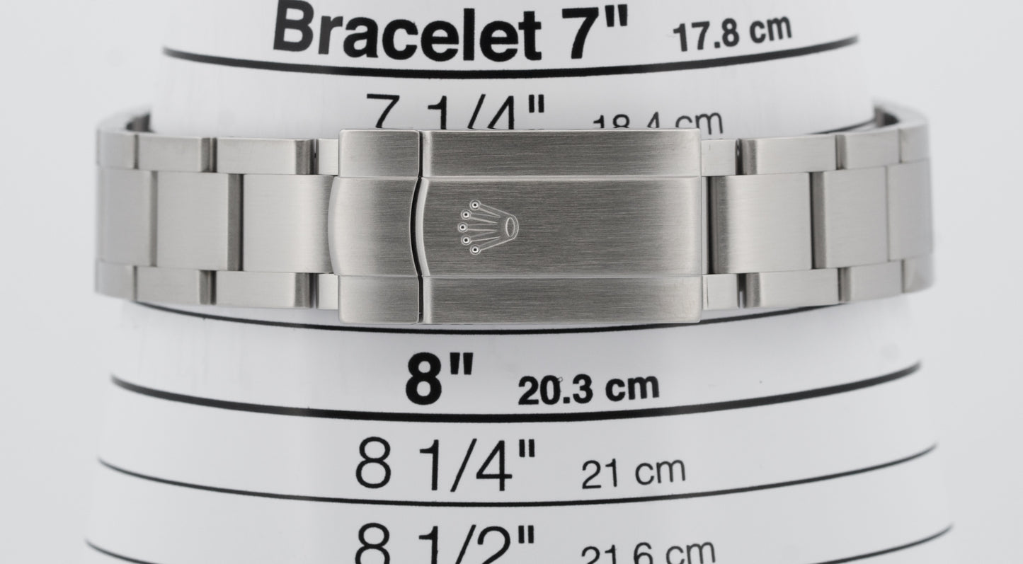 PAPERS Rolex Oyster Perpetual 41 SILVER Stainless Steel Oyster 41mm 124300 BOX