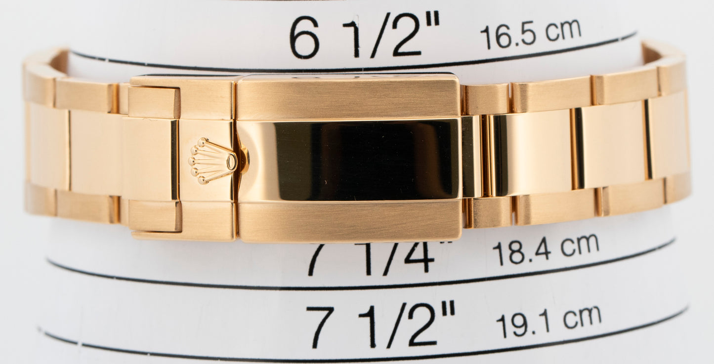 2013 PAPERS Rolex Daytona NEWMAN CHAMPAGNE 18K Yellow Gold 40mm 116528 Watch BOX