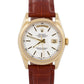 Rolex Day-Date WHITE 18K Yellow Gold Smooth Brown Leather 36mm Watch 118208