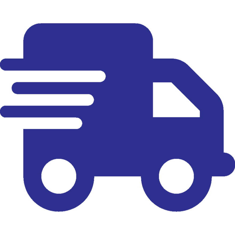 Free overnight shipping icon