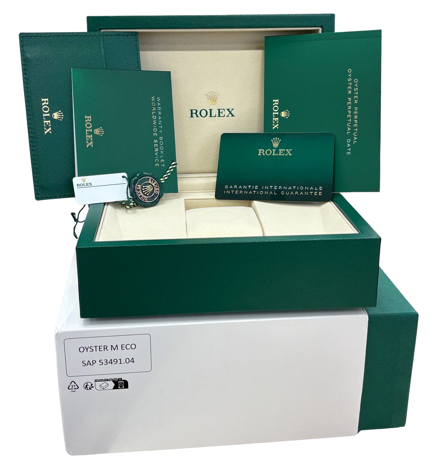NEW UNWORN PAPERS Rolex Oyster Perpetual 41mm BEIGE Stainless 134300 Watch BOX