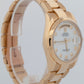 Rolex Day-Date Mother of Pearl 18K Yellow Gold OYSTER BRACELET 36mm Watch 118208