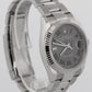 New 2026 Rolex DateJust 126234 Wimbledon Stainless Steel 36mm Watch Box Papers