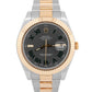 2015 Rolex DateJust II 116333 Wimbledon Two-Tone Gold 41mm Watch Box Papers