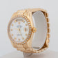 Rolex Day-Date President 118238 Mother of Pearl Diamond Yellow Gold 36mm Watch
