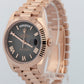 2024 PAPERS Rolex Day-Date 40 SLATE OMBRE 18K Rose Gold 40mm 228235 Watch BOX