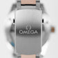 Omega Seamaster 300 PAPERS Two-Tone Sedna Black 41mm 233.20.41.21.01.001 Watch