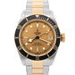 PAPERS Tudor Black Bay Heritage Two-Tone Gold Champagne 41mm Watch 79733N BOX