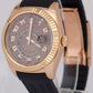 MINT Rolex Sky-Dweller 42mm CHOCOLATE ARABIC Brown 18K Rose Gold Rubber 326135