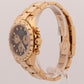 2022 RSC PAPERS Rolex Daytona Cosmograph NEWMAN 18K Yellow Gold 40mm 116528 BOX