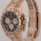 2025 PAPERS Rolex Daytona BLACK 18K Rose Gold SUNDUST 40mm 126505 Watch BOX