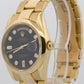 2006 PAPERS Rolex Day-Date BLACK DIAMOND 18K Gold OYSTER 36mm 118208 BOX