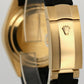 2023 Rolex Sky-Dweller BLACK 18K Yellow Gold Rubber OYSTERFLEX 42mm 336238 BOX