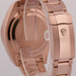 2023 PAPERS Rolex Sky-Dweller Rose Gold SLATE Gray Rhodium 42mm 326935 BOX