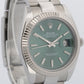 2024 PAPERS Rolex DateJust 41mm MINT GREEN 18K Steel Fluted OYSTER 126334 BOX