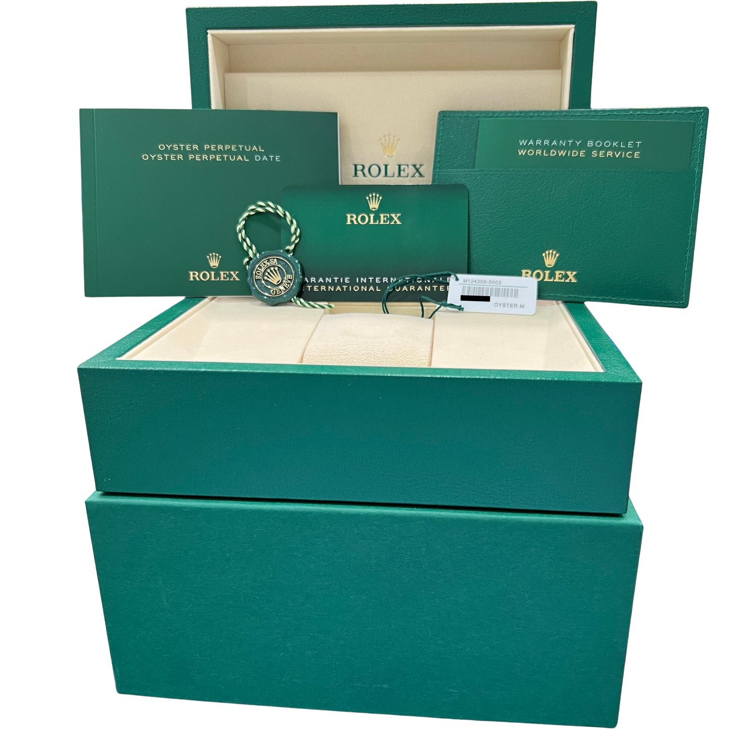 NEW 2025 PAPERS Rolex Oyster Perpetual 41mm BLACK Stainless Watch 124300 BOX