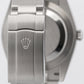 PAPERS Rolex Oyster Perpetual 41 SILVER Stainless Steel Oyster 41mm 124300 BOX