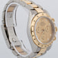 Rolex Daytona Cosmograph CHAMPAGNE DIAMOND 116523 Two-Tone 18K Yellow Gold Watch