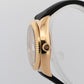 Rolex Sky-Dweller CHAMPAGNE Arabic 18K Yellow Gold 42mm Rubber 326138 Watch