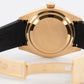 Rolex Sky-Dweller CHAMPAGNE Arabic 18K Yellow Gold 42mm Rubber 326138 Watch