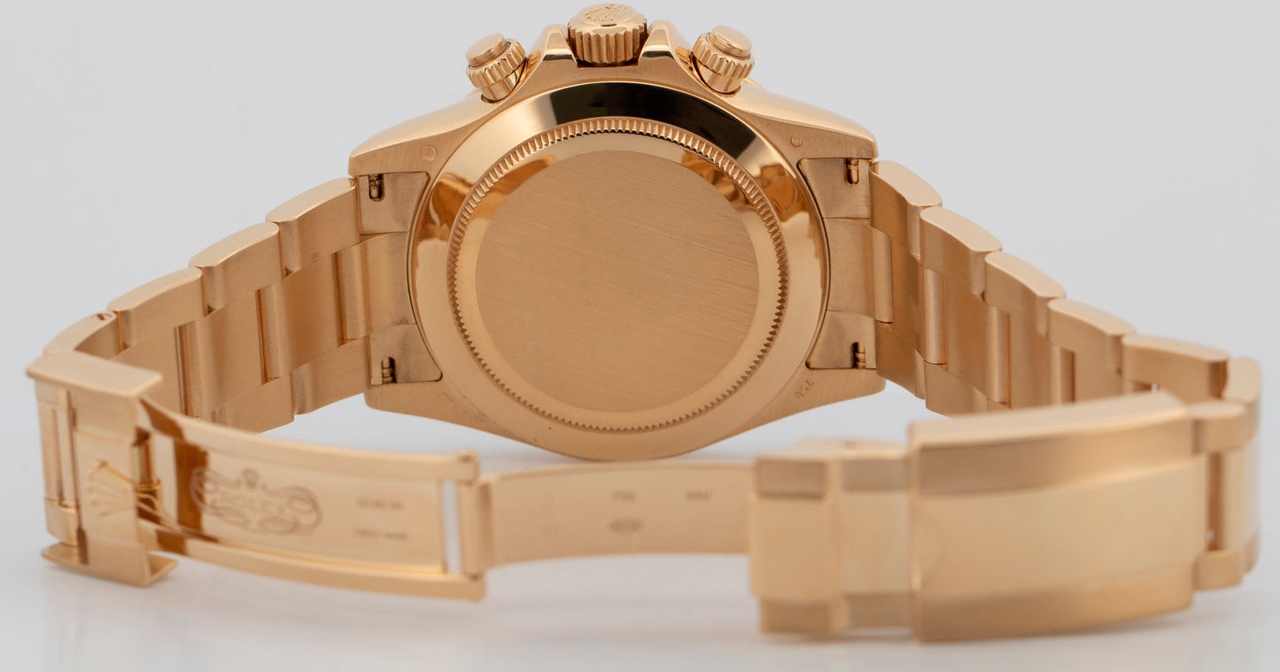 2013 PAPERS Rolex Daytona NEWMAN CHAMPAGNE 18K Yellow Gold 40mm 116528 Watch BOX