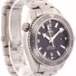Omega Seamaster Planet Ocean 600M 42mm Blue TITANIUM 232.90.42.21.03.001 Watch