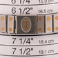 Cartier Santos Two-Tone 18k Gold Stainless Steel WHITE SPIDER Automatic 29mm 2961