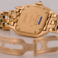 Ladies Cartier Panthere 22mm IVORY 18K Yellow Gold Quartz 8057917 W25022B9 Watch