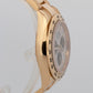2021 PAPERS Rolex Daytona Cosmograph METEORITE 18K Yellow Gold 40mm 116508 BOX