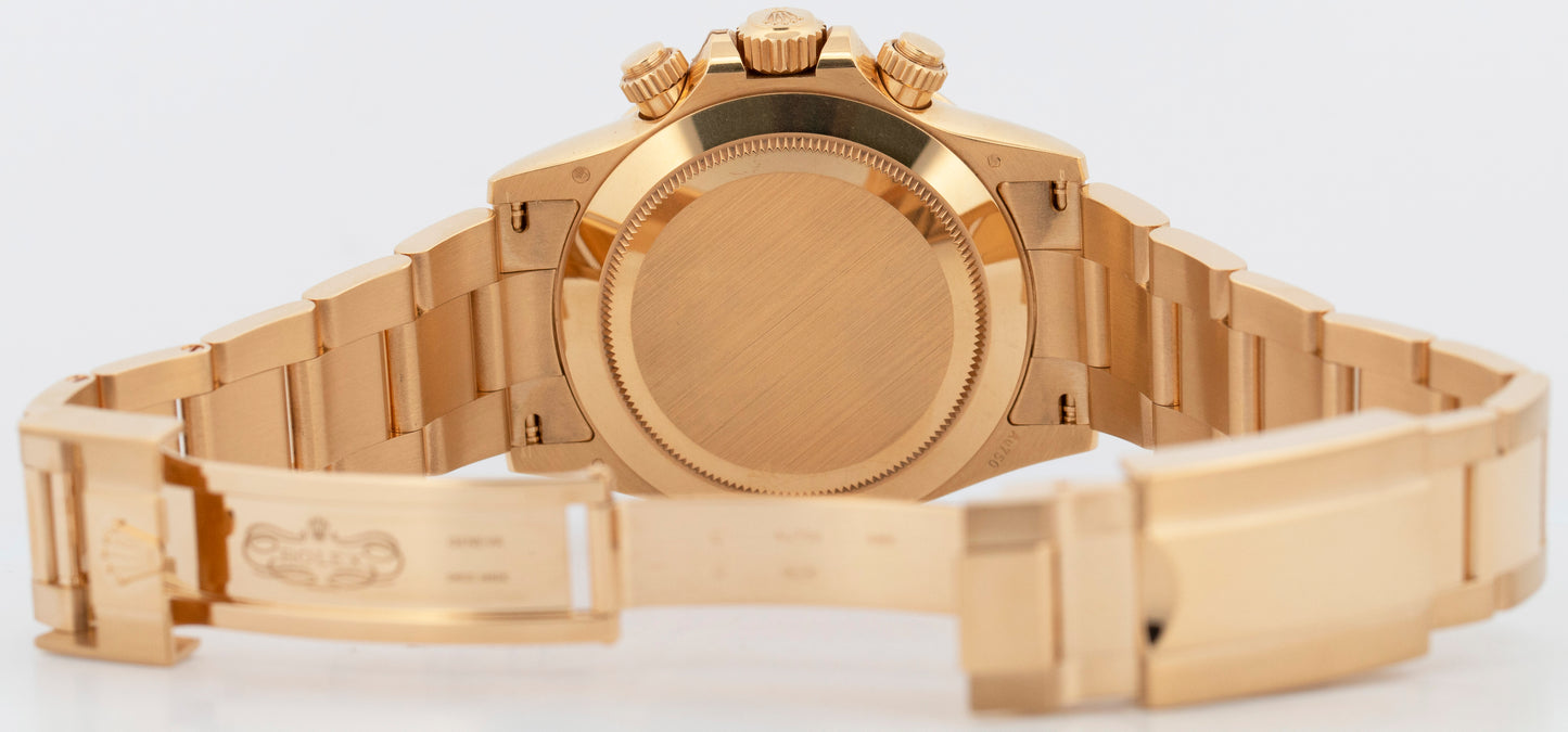 2021 PAPERS Rolex Daytona Cosmograph METEORITE 18K Yellow Gold 40mm 116508 BOX