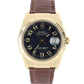 Rolex, Rolex Datejust, Datejust, Rolex Datejust 36, Datejust 36, Rolex 18k Gold, 18k Gold Datejust, Rolex Concentric Dial, Concentric Dial, Rolex Blue Concentric Arabic , Rolex 116138, 116138